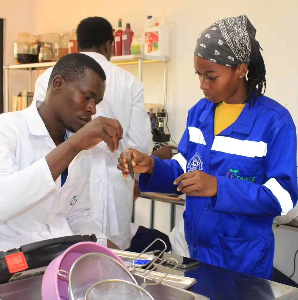 Descriptive alt text