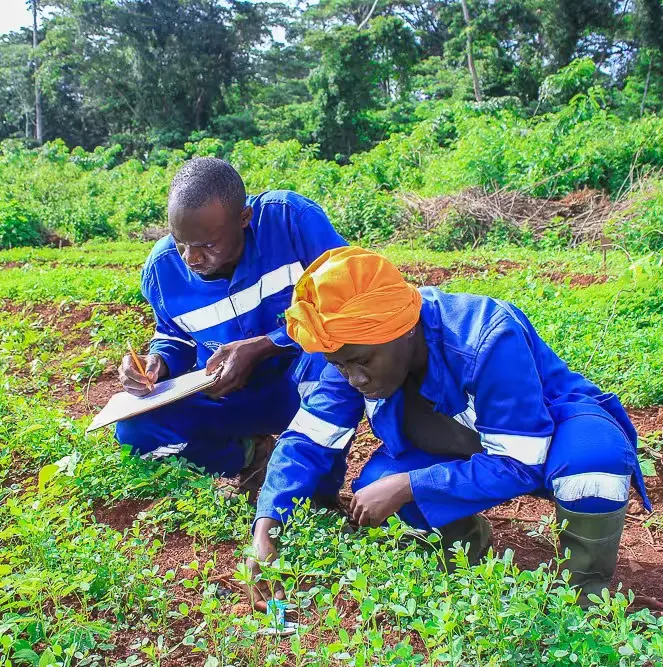 Descriptive alt text