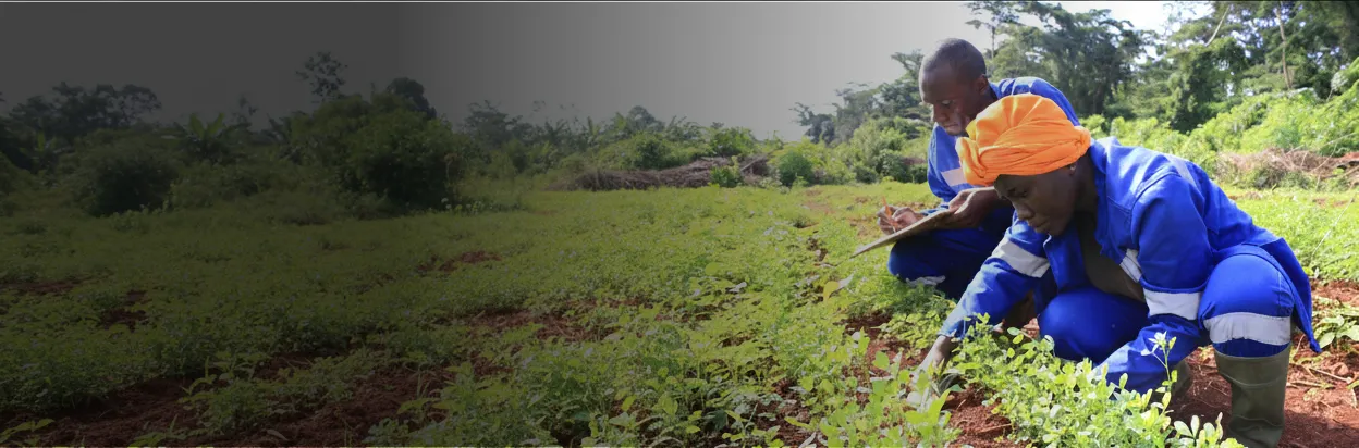 Volunteering Opportunities