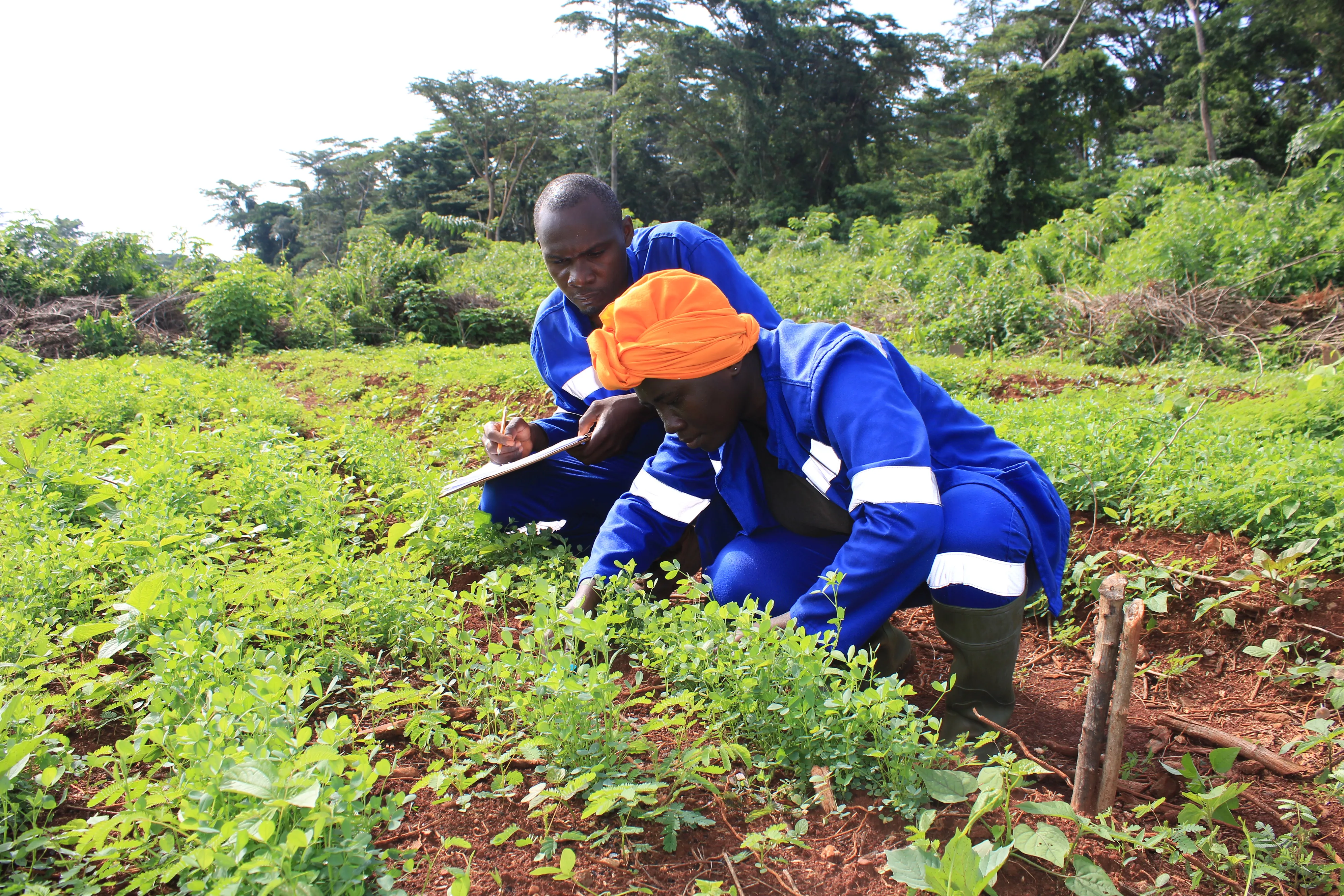 Volunteering Opportunities