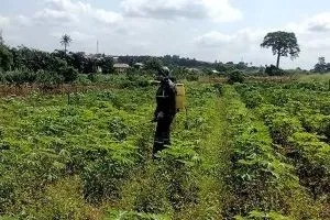 Resisting the Urge to Dig