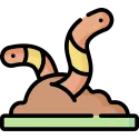worm